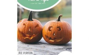 Halloween pumpkin jack O'lantern