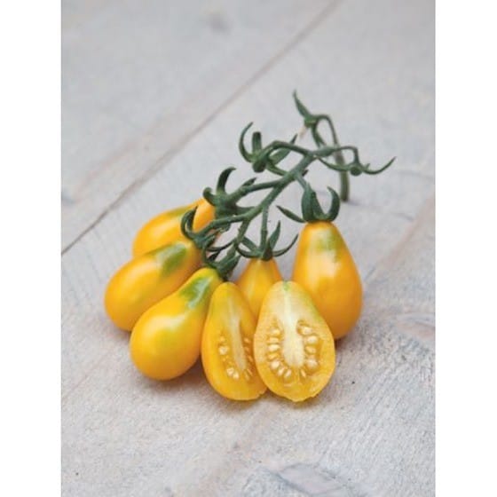 cherry tomatoes yellow pearshaped growing fruits