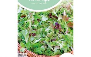 HT french salad mix