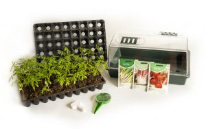 Starter Vegetable Growing Kit