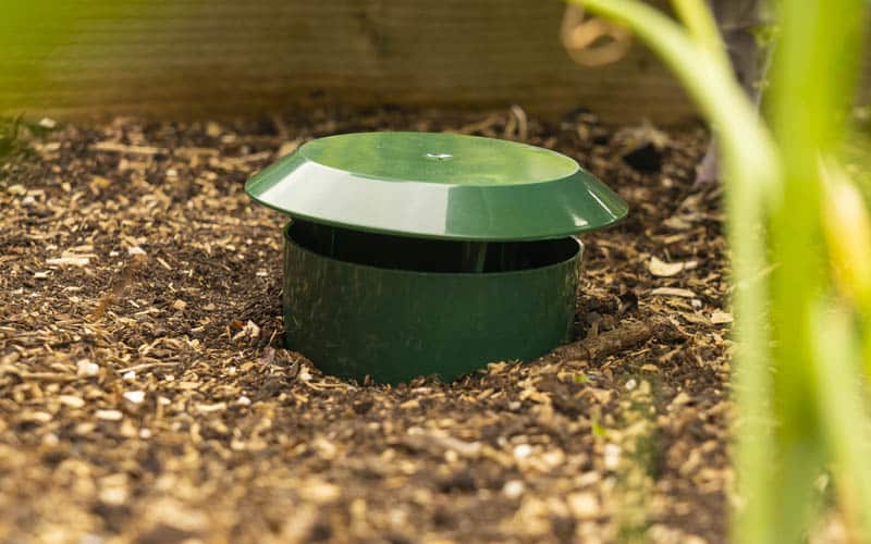Slug trap in garden