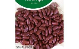 dwarf french bean kidney beans